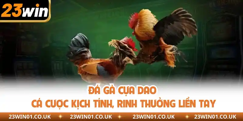 Đá Gà Cựa Dao - Xem Trực Tiếp Lượt Trận Đá Gà Kịch Tích 1 Cụ thể thông tin giới thiệu hình thức đá gà cựa dao