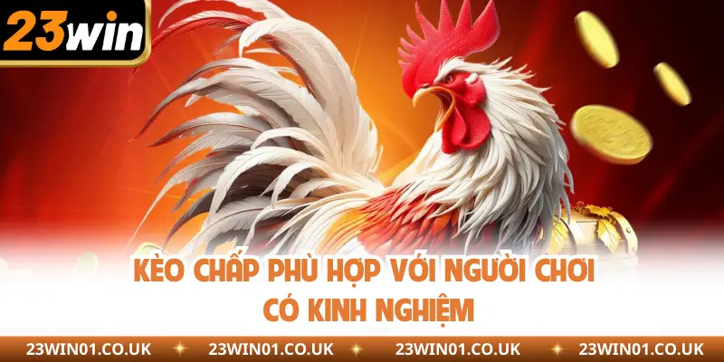 Đá Gà Cựa Đòn - Cá Cược Kịch Tính, Rinh Thưởng Liền Tay 2 Kèo chấp phù hợp với người chơi có kinh nghiệm