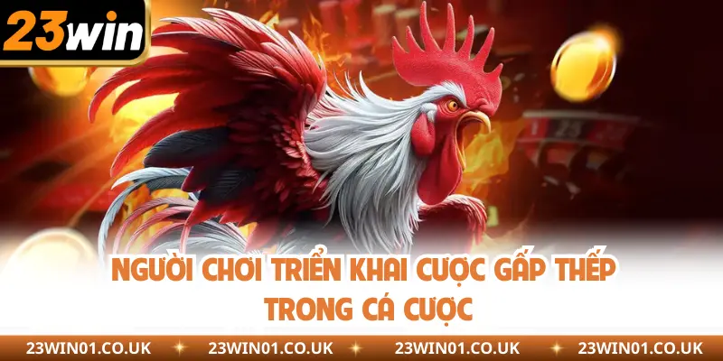 Đá Gà Cựa Đòn - Cá Cược Kịch Tính, Rinh Thưởng Liền Tay 3 Người chơi triển khai cược gấp thếp trong cá cược