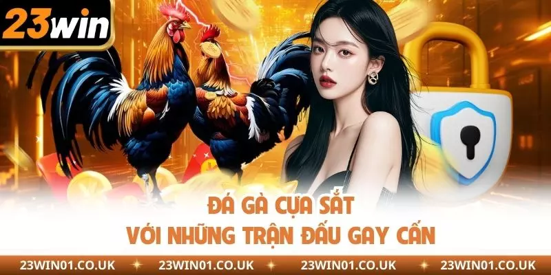 Đá Gà Cựa Sắt 23WIN - Những Trận Đấu Gay Cấn Và Mãn Nhãn 1 Đá gà cựa sắt với những trận đấu gay cấn