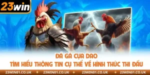 Đá Gà Cựa Dao - Xem Trực Tiếp Lượt Trận Đá Gà Kịch Tích