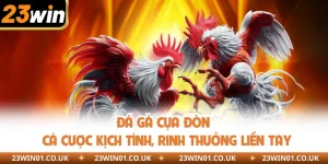 Đá Gà Cựa Đòn - Cá Cược Kịch Tính, Rinh Thưởng Liền Tay