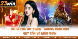 Đá Gà Cựa Sắt 23WIN - Những Trận Đấu Gay Cấn Và Mãn Nhãn