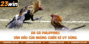 Đá Gà Philippines - Sàn Đấu Của Những Chiến Kê Uy Dũng