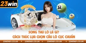 Song Thủ Lô Là Gì? Cách Thức Lựa Chọn Cầu Lô Cực Chuẩn